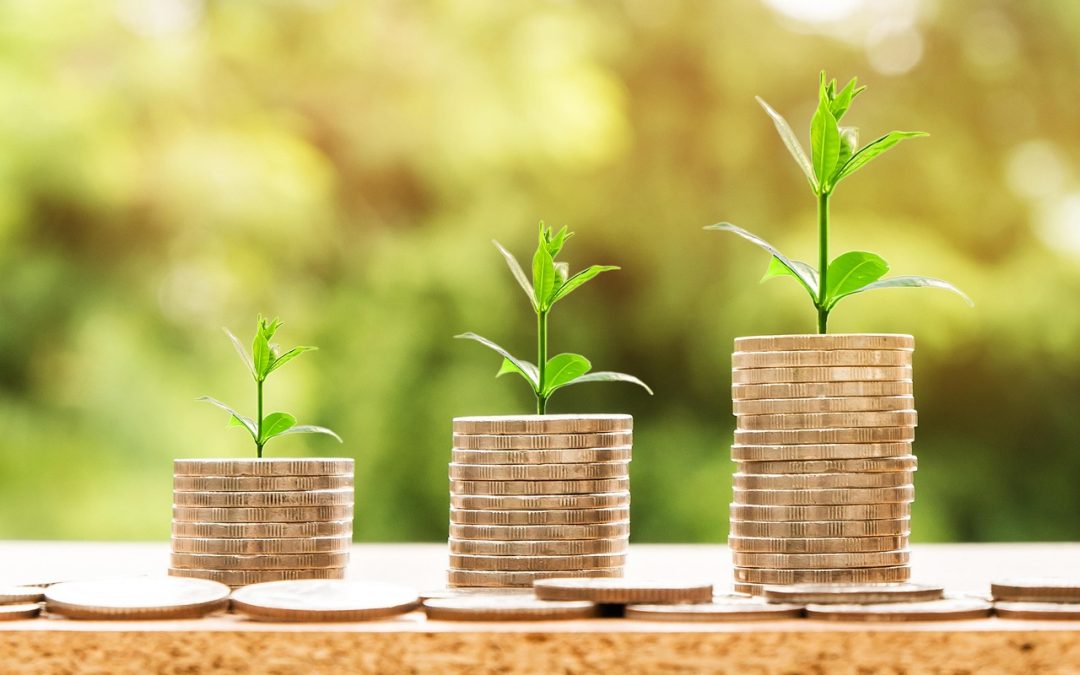 Financiële strategieën voor snelgroeiende bedrijven